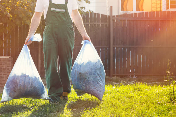 Yard Cleanup Services in Virginia, MN