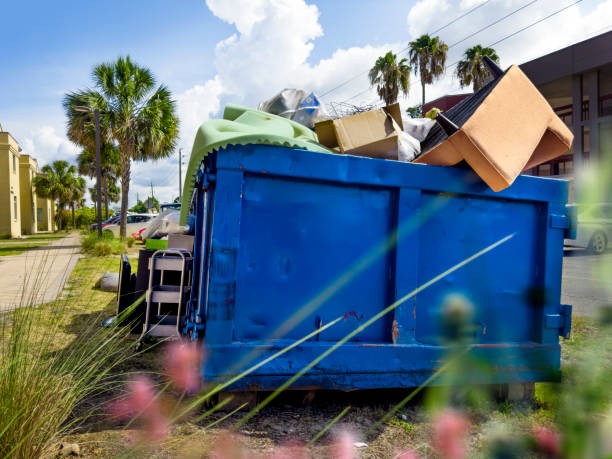Best Electronics Removal Services  in Virginia, MN
