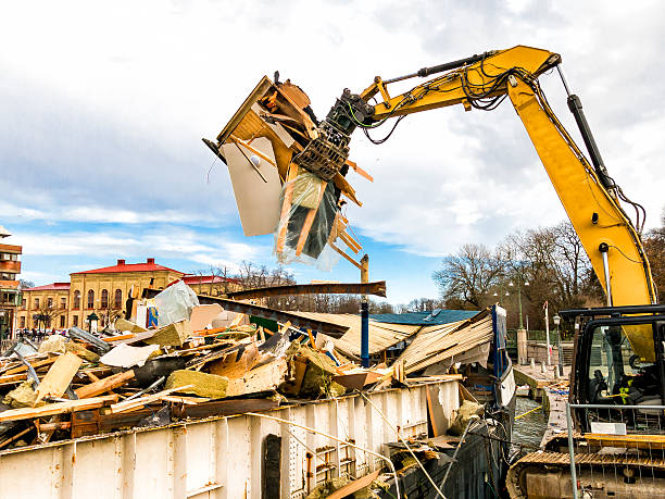Best Yard Cleanup Services  in Virginia, MN